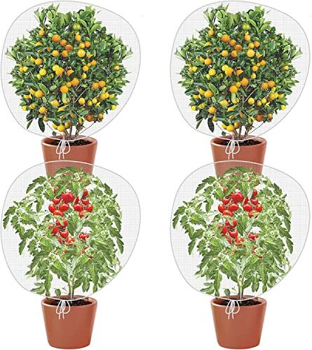 GIONAR Rete Protezione Piante,4PCS Rete per Albero da Frutto,Rete Anti Insetti,Rete Anti Insetti per Alberi da Frutto con Cerniera e Cordoncino,Maglia Fine 80x 80cm