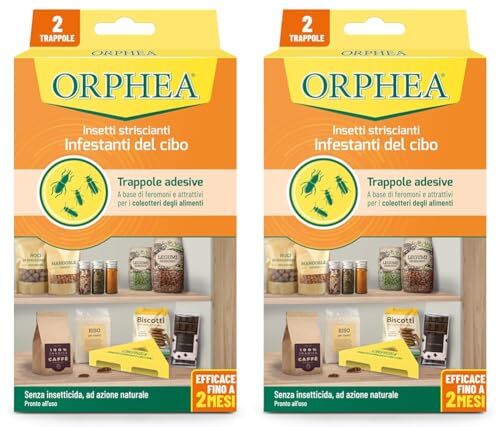 Orphea Adesivi antitarme Trappole Food, contro crostate alimentari, privi di insetticidi e insetticidi, confezione da 2