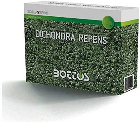 Bottos Sementi per Prato di Dicondra Repens 100 g