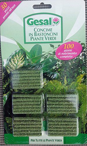 acquaverde 30 Bastoncini gesal stick fertilizzante 1 confez concime lenta cessione per piante verdi per appartamento e balcone