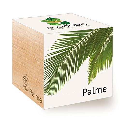 Feel Green Ecocube Palme, Idea Regalo sostenibile (100% Eco Friendly), Grow Your Own/Set di Coltivazione, Piante nel Dado in Legno, Made in Austria