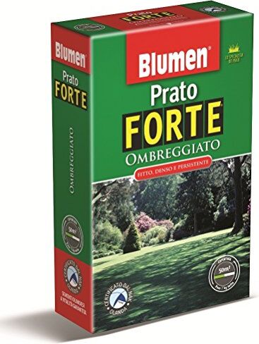 Blumen PRATO FORTE OMBREGGIATO SCATOLA DA KG 1