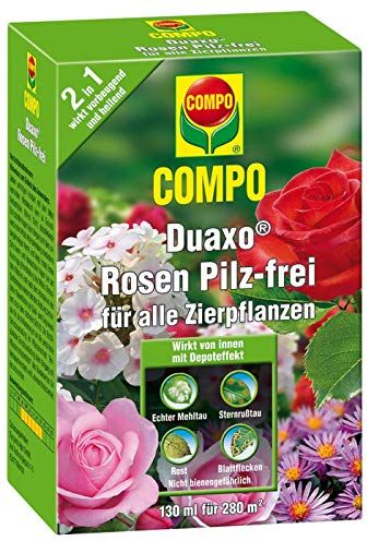 Compo Duaxo Rose senza funghi, lotta contro le malattie fungine su tutte le piante ornamentali, concentrato, con misurino, 260 ml