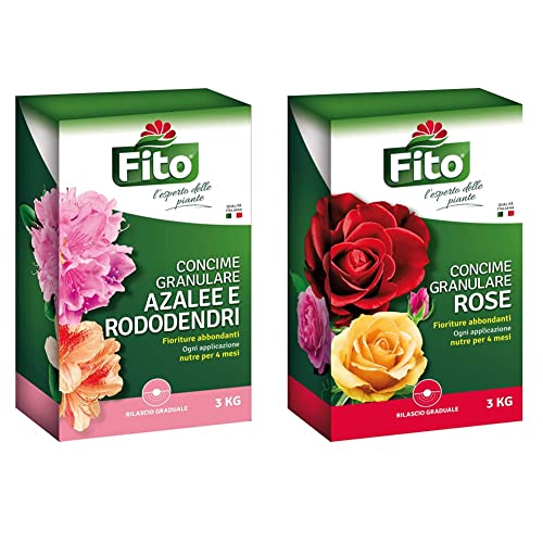 Fito Azalee RODODENDRI GRANULARE & 3Kg Concime Rose Granulare, Verde, 3 kg