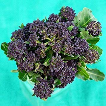 Astonish Pacchetto semi: 1/2 Gram Semi di Purple Sprouting Broccoli