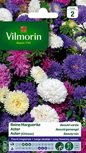 Vilmorin Margherite, Multicolore, 90 x 2 x 160 cm