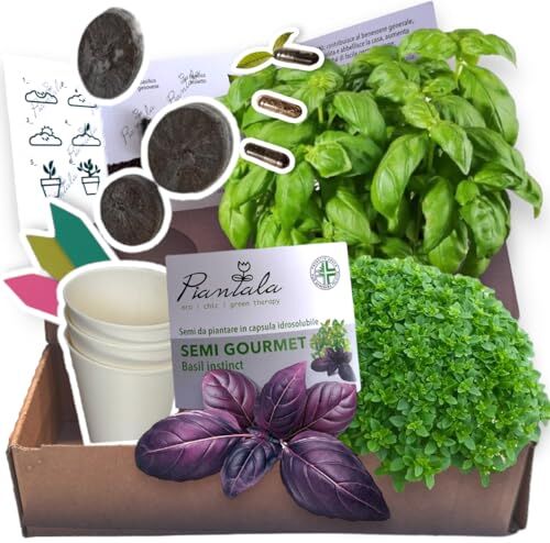 Generico SEMI PINATABILI (SEMI GOURMET BASIL: basilico genovese, greco, violetto – KIT GERMINAZIONE COMPLETO)