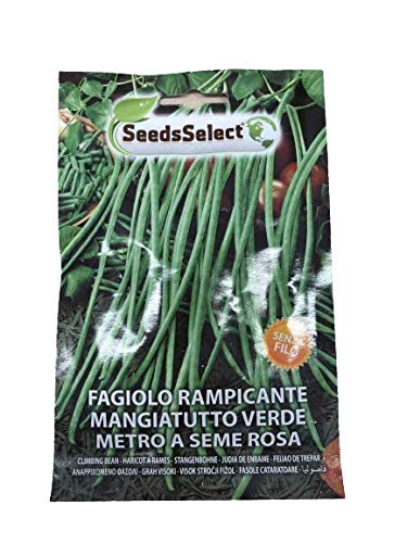 acquaverde Fagiolo Rampicante Mangiatutto Verde Metro a seme rosa Gr 50 In Bustina