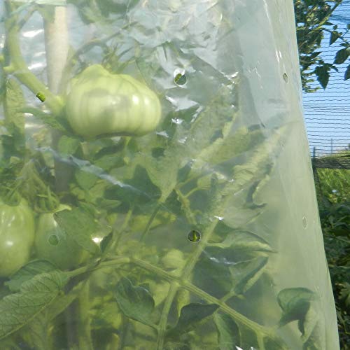 TENAX Mr.Tomato, Film Tubolare Microforato Giallo, 0,60x10 m, Specifico per la Coltivazione di Pomodori
