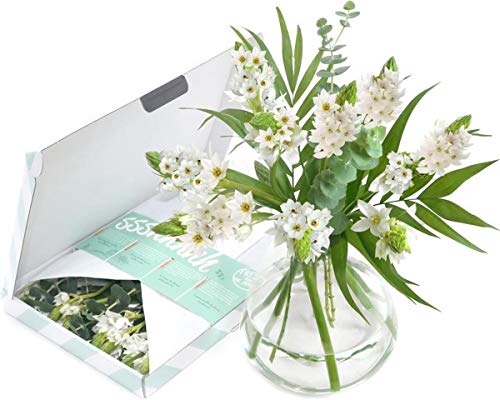 BloomPost White Wonder Fiori Regalo cassetta delle lettere Fiori freschi consegnati Bouquet perfetto per San Valentino, compleanni e regali di ringraziamento Consegna gratuita 32 cm