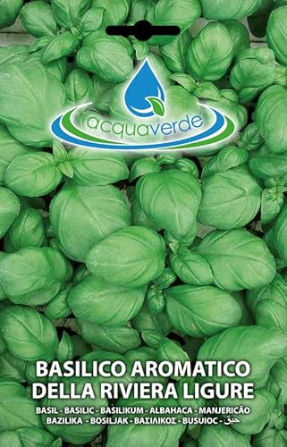 acquaverde Semi Di Basilico Aromatico Ligure Per Orto In Bustina