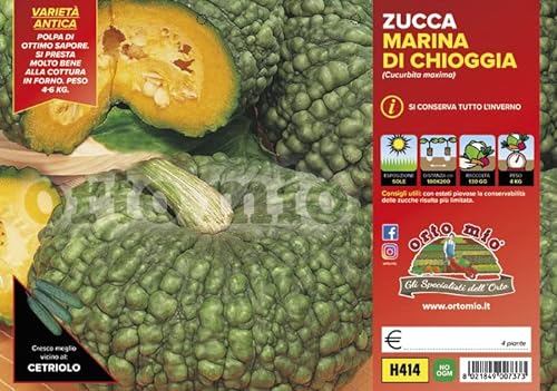 Mitac Piantine di Ortaggi in pack cubettato per la produzione famigliare disponibili in molte tipologie e varietà (Zucca marina di Chioggia 4 piante)