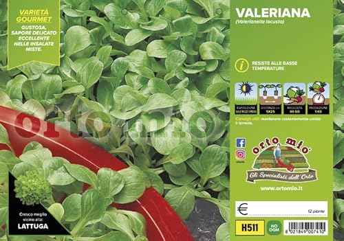 Mitac Piantine di Ortaggi in pack cubettato per la produzione famigliare disponibili in molte tipologie e varietà (Valeriana Verde Trophy F1 12 piante)