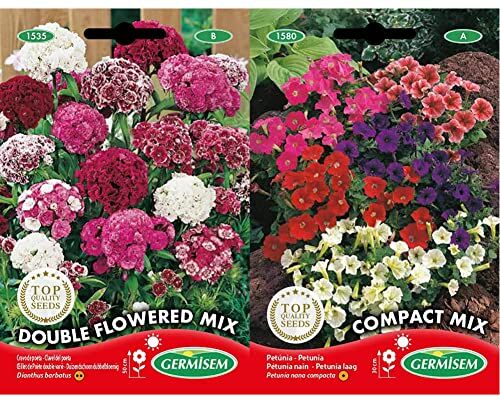 Germisem Bartnelken Semi 1 g & Compact Mix Semi di Petunia 0.2 g