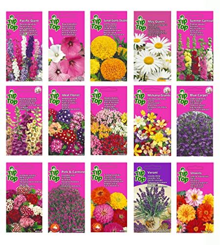 Nojaus Seklos Flower Seed Collection Cottage Garden & Border Favorites, ispirato alla Horticultural Society, nonOGM, semi di qualità