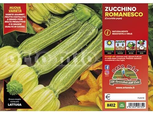 Mitac Piantine di Ortaggi in pack cubettato per la produzione famigliare disponibili in molte tipologie e varietà (Zucchino romanesco Floridus 4 piante)