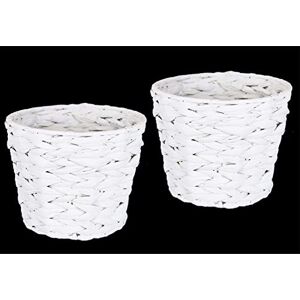 Set di vasi in acqua yacintha I.GE.A - Decorazione moderna per interni Set di vasi in acqua yacintha I.GE.A - Decorazione moderna per interni