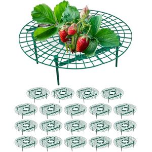 Relaxdays Set da 20 Anelli di Supporto per Fragole, Sostegno in Plastica per Piante da Orto, Rete Antimuffa, Verde, 10 x 30 cm Relaxdays Set da 20 Anelli di Supporto per Fragole, Sostegno in Plastica per Piante da Orto, Rete Antimuffa, Verde, 10 x 30 cm