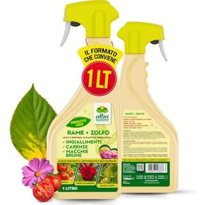 Albagarden Rame + Zolfo Spray MAXI x 1 Litro Concime Potente per Piante Contro le Malattie Per Ingiallimenti, Carenze, Macchie Brune, Oidio, Peronospora Effetto Fungicida per Piante Albagarden Rame + Zolfo Spray MAXI x 1 Litro Concime Potente per Piante Contro le Malattie Per Ingiallimenti, Carenze, Macchie Brune, Oidio, Peronospora Effetto Fungicida per Piante