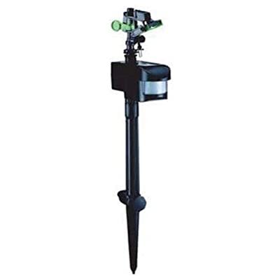 AQUAFORTE – Airone di allontanamento/Animale Garde Niper AQUAFORTE – Airone di allontanamento/Animale Garde Niper