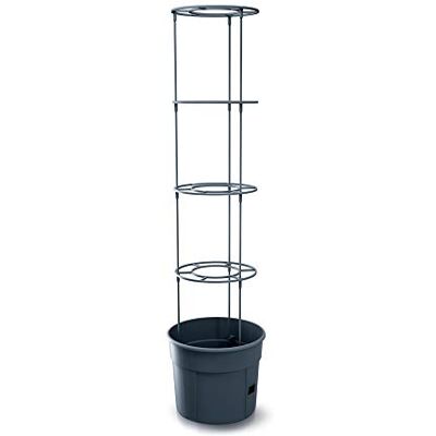 Prosperplast Macetero de tomates Tomate Grower de plastico en color antracita 39,2 (largo) x 39,2 (ancho) x 31,5-153 (alto) cm Prosperplast Macetero de tomates Tomate Grower de plastico en color antracita 39,2 (largo) x 39,2 (ancho) x 31,5-153 (alto) cm