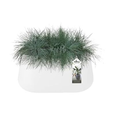 Elho Pure Cone Long Wheels 75 Fioriera per Interno e Esterno L74.0 x H35.8 cm White Elho Pure Cone Long Wheels 75 Fioriera per Interno e Esterno L74.0 x H35.8 cm White