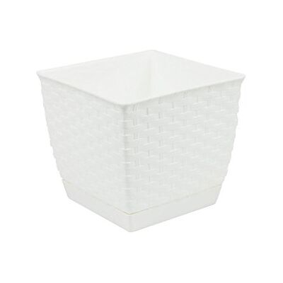 Prosperplast Pot quadrato 2,5l di ratola, dimensioni (mm) 165x165x142, colore bianco Prosperplast Pot quadrato 2,5l di ratola, dimensioni (mm) 165x165x142, colore bianco