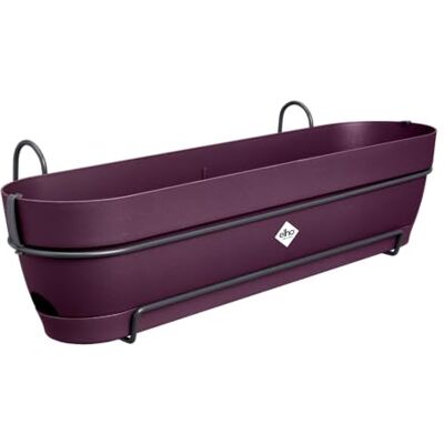 Elho Vibia Campana Trough Allin1 70 Fioriera per Balcone Ø 70.4 x H 17.7 cm Porpora Acero Elho Vibia Campana Trough Allin1 70 Fioriera per Balcone Ø 70.4 x H 17.7 cm Porpora Acero