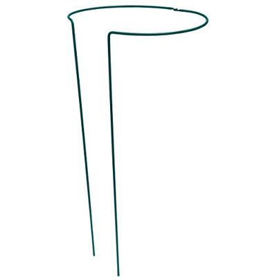 Meister Connex per piante perenni, flessibile, verde, 33 x 33 x 70 cm, Meister Connex per piante perenni, flessibile, verde, 33 x 33 x 70 cm,