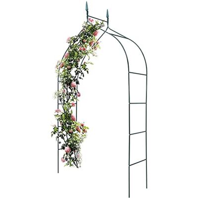 BAKAJI Arco da Giardino Supporto per Rose Piante Rampicanti in Metallo 140-170 x 38 x 240H cm Colore Verde Scuro BAKAJI Arco da Giardino Supporto per Rose Piante Rampicanti in Metallo 140-170 x 38 x 240H cm Colore Verde Scuro