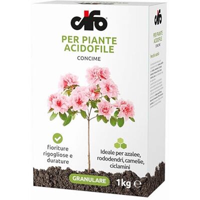 CIFO concime per piante Acidofile, 1 kg, fioriture rigogliose e durature, ideale per azalee, rododendri, camelie, ciclamini CIFO concime per piante Acidofile, 1 kg, fioriture rigogliose e durature, ideale per azalee, rododendri, camelie, ciclamini