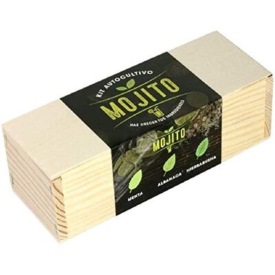 Resetea Mojito Kit di montaggio automatico (menta, basilico e menta piperita, Resetea Mojito Kit di montaggio automatico (menta, basilico e menta piperita,