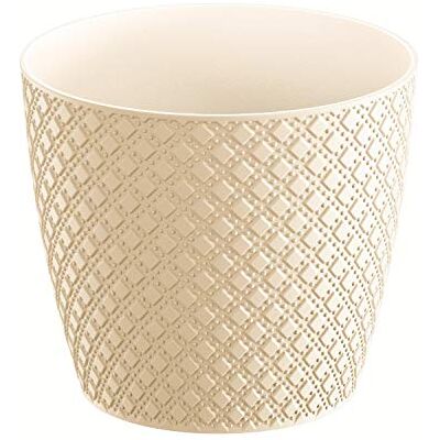Prosperplast Oriente 2L pentola., Dimensioni (mm) 157x157x138, crema crema Prosperplast Oriente 2L pentola., Dimensioni (mm) 157x157x138, crema crema