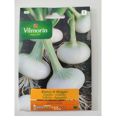 Vilmorin CIPOLLA BIANCA DI MAGGIO-Set da 10 bustine da 2 grammi ciascuna Vilmorin CIPOLLA BIANCA DI MAGGIO-Set da 10 bustine da 2 grammi ciascuna