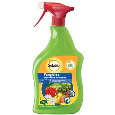 Solabiol Armicarb PFnPE Fungicida Piante Pronto Uso, Bicarbonato di Potassio, Contro Le Malattie Da Funghi Come Oidio, Ticchiolatura, Muffa Ideale Per Orto, Frutta, Floreali e Ornamentali 750ml Solabiol Armicarb PFnPE Fungicida Piante Pronto Uso, Bicarbonato di Potassio, Contro Le Malattie Da Funghi Come Oidio, Ticchiolatura, Muffa Ideale Per Orto, Frutta, Floreali e Ornamentali 750ml