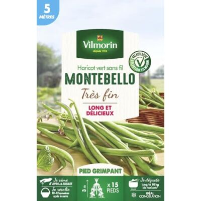 Vilmorin Graines de haricot a rames montebello 5 M Vilmorin Graines de haricot a rames montebello 5 M
