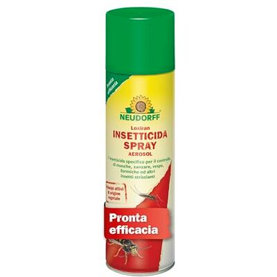 Neudorff Loxiran Insetticida Spray – Combatte in modo affidabile e con effetto immediato insetti volanti e striscianti come mosche, vespe e formiche, 500 ml Neudorff Loxiran Insetticida Spray – Combatte in modo affidabile e con effetto immediato insetti volanti e striscianti come mosche, vespe e formiche, 500 ml
