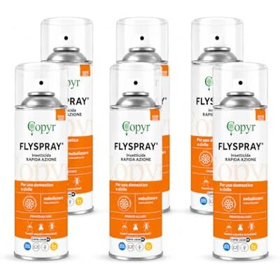 COPYR FlySpray Insetticida Antizanzare Mosche Ragni Scarafaggi Formiche e Altri Insetti Striscianti e Volanti, 400ml x 6 Pz, Aracnicida Abbattente Snidante con Piretro, Uso Domestico COPYR FlySpray Insetticida Antizanzare Mosche Ragni Scarafaggi Formiche e Altri Insetti Striscianti e Volanti, 400ml x 6 Pz, Aracnicida Abbattente Snidante con Piretro, Uso Domestico
