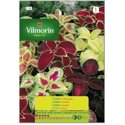 Vilmorin Kit 10 bustine semi COLEUS IN MISCUGLIO 130 Vilmorin Kit 10 bustine semi COLEUS IN MISCUGLIO 130
