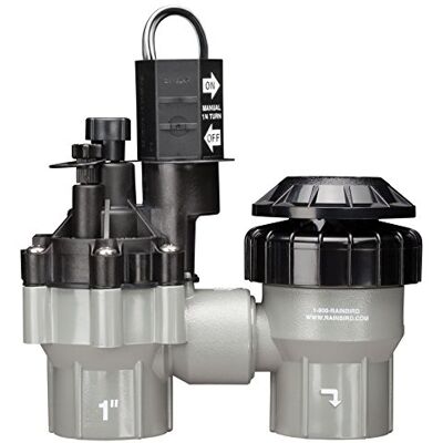 Rain Bird DASASVF075 Professional Grade Anti-Siphon Valve with Flow Control, 3/4" Threaded Female x Female Rain Bird DASASVF075 Professional Grade Anti-Siphon Valve with Flow Control, 3/4" Threaded Female x Female