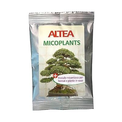ALTEA Micorrize in polvere (Micoplants) (50 gr), per bonsai e piante in vaso ALTEA Micorrize in polvere (Micoplants) (50 gr), per bonsai e piante in vaso