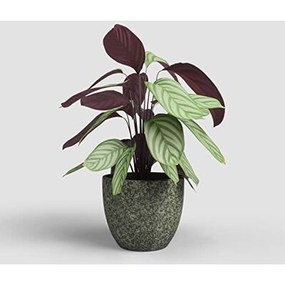 Artevasi Héstia Vaso, Vaso da fiori, Vaso decorativo, Struttura complessa, Ceramica fatta a mano, Verde oliva, 17cm Artevasi Héstia Vaso, Vaso da fiori, Vaso decorativo, Struttura complessa, Ceramica fatta a mano, Verde oliva, 17cm