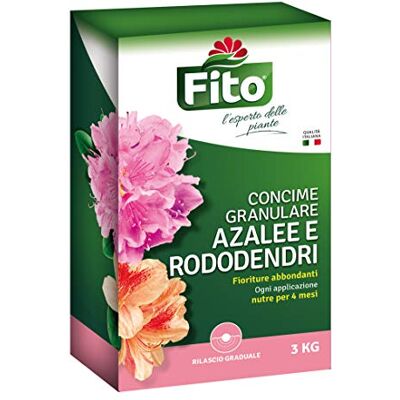 Fito Azalee RODODENDRI GRANULARE Fito Azalee RODODENDRI GRANULARE