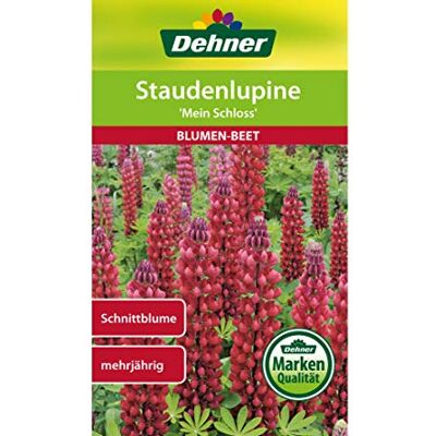 Dehner Sementi per Fiori Mein Schloss, Confezione da 5 (5 x 2 g) Dehner Sementi per Fiori Mein Schloss, Confezione da 5 (5 x 2 g)