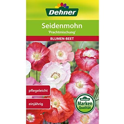 Dehner Sementi di Muschio di Seta, Miscela di prumenti, Confezione da 5 (5 x 2,5 g) Dehner Sementi di Muschio di Seta, Miscela di prumenti, Confezione da 5 (5 x 2,5 g)