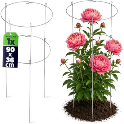 KADAX Supporto da giardino fatto in polvere d'acciaio, supporto la pianta, supporto la piantagione, arrampicata piante, giardino, balcone, supporto (altezza: 90 cm) KADAX Supporto da giardino fatto in polvere d'acciaio, supporto la pianta, supporto la piantagione, arrampicata piante, giardino, balcone, supporto (altezza: 90 cm)