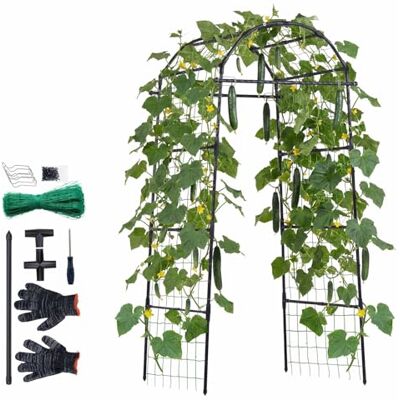 VEVOR Traliccio per Cetrioli ad Arco Traliccio in Metallo da Giardino Supporto per Piante Rampicanti da Giardino per Viti Piselli Fagioli Zucchine Pomodori Fiori Telaio Rivestimento in Plastica VEVOR Traliccio per Cetrioli ad Arco Traliccio in Metallo da Giardino Supporto per Piante Rampicanti da Giardino per Viti Piselli Fagioli Zucchine Pomodori Fiori Telaio Rivestimento in Plastica