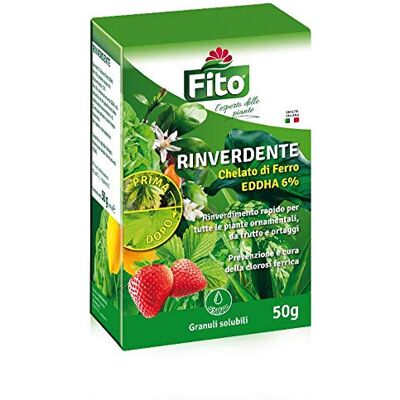Fito Concime Rinverdente 50 G Fito Concime Rinverdente 50 G
