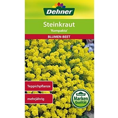 Dehner Sementi per germogli, Compacta, Confezione da 5 (5 x 3 g) Dehner Sementi per germogli, Compacta, Confezione da 5 (5 x 3 g)