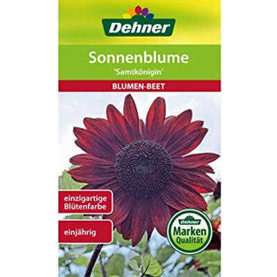 Dehner Sementi per Fiori, Girasole Samtkönigin, Confezione da 5 (5 x 2,5 g) Dehner Sementi per Fiori, Girasole Samtkönigin, Confezione da 5 (5 x 2,5 g)
